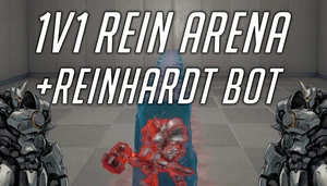 1v1 Rein Arena + Reinhardt bot ⚔️
