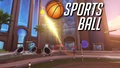 Sports Ball