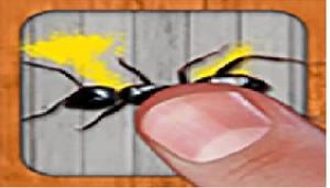Tap Tap Ants