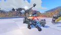 REIN SUMO