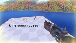 Big Knife Lady Sumo