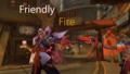 Friendly Fire