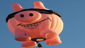 Hog Airballoons