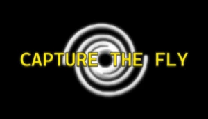 Capture the Fly🌀