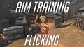 Aim training: Flicking 🎯