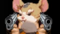 Hamster HS