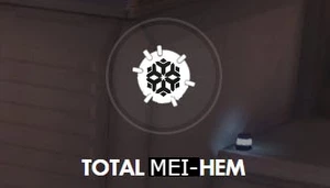 Total Mei-hem