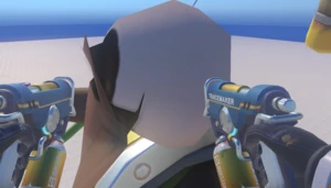 inspect lucio