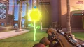 Desert Bloom