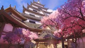 CALL OF DUTY OVERWATCH TDM