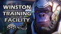🐵 Winston Training Facility