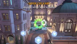 SUPER CAT CART!