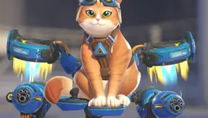 CAT KART 🐈✈️