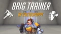Brigitte Trainer