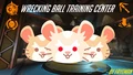 Wrecking ball training center