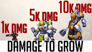 Damage To Grow