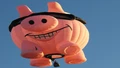 Hog Airballoons