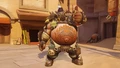 Roadhog Rodeo!
