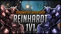 Reinhardt 1v1 Bot