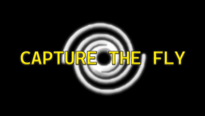Capture the Fly🌀