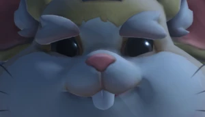 observe hamster