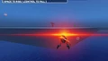 Kong!!!