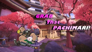 GRAB THAT PACHIMARI!
