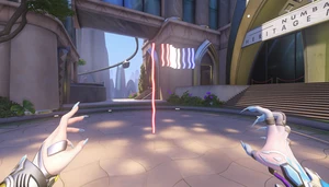 Flag Visual