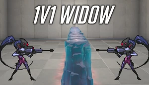 1v1 Widow Arena [modified/no widow bot grapple]