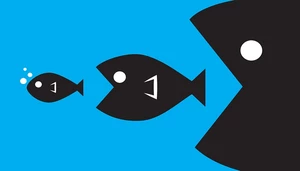 Big Fish Little Fish