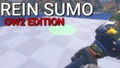 Rein Sumo || OW2 Edition