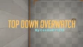 Top Down Overwatch