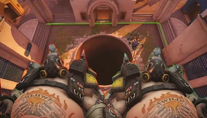 10 Hogs and a well