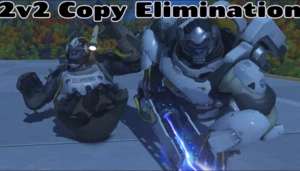 2v2 Copy Elimination