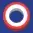 Ring icon