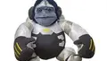 WINSTON CAGE